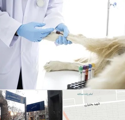 آزمایشگاه حیوانات در سی متری جی