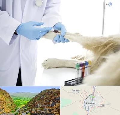 آزمایشگاه حیوانات در کامیاران