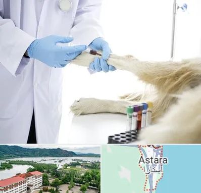 آزمایشگاه حیوانات در آستارا