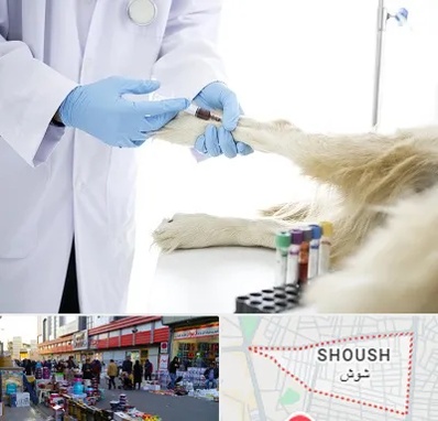 آزمایشگاه حیوانات در شوش