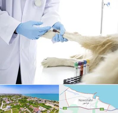 آزمایشگاه حیوانات در نوشهر