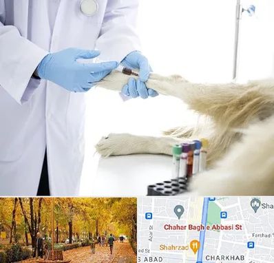 آزمایشگاه حیوانات در چهارباغ اصفهان