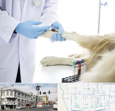 آزمایشگاه حیوانات در 17شهریور