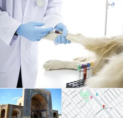 آزمایشگاه حیوانات در مصلی مشهد