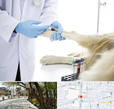 آزمایشگاه حیوانات در خیابان توحید اصفهان