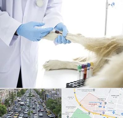 آزمایشگاه حیوانات در گلشهر کرج