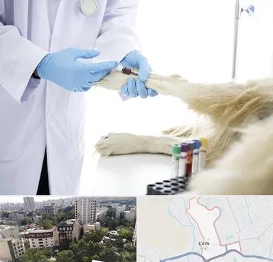 آزمایشگاه حیوانات در اوین