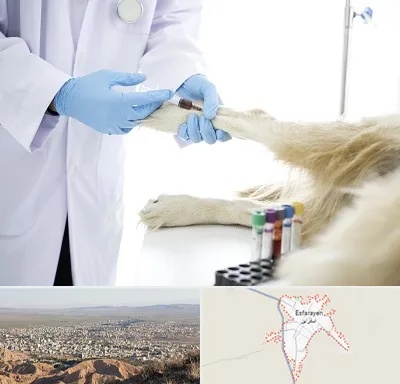 آزمایشگاه حیوانات در اسفراین