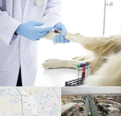 آزمایشگاه حیوانات در حصارک کرج