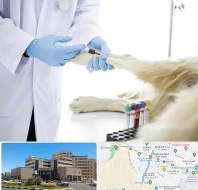 آزمایشگاه حیوانات در صیاد شیرازی مشهد