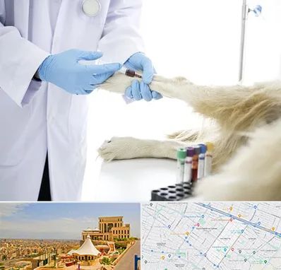 آزمایشگاه حیوانات در هاشمیه مشهد