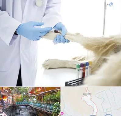 آزمایشگاه حیوانات در درکه