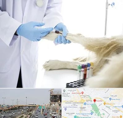 آزمایشگاه حیوانات در بلوار توس مشهد