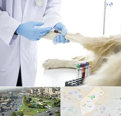 آزمایشگاه حیوانات در کمال شهر کرج