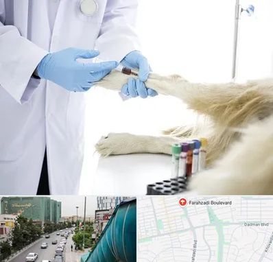 آزمایشگاه حیوانات در بلوار فرحزادی