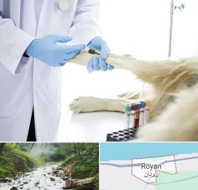 آزمایشگاه حیوانات در رویان