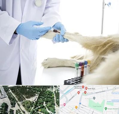 آزمایشگاه حیوانات در سالاریه قم