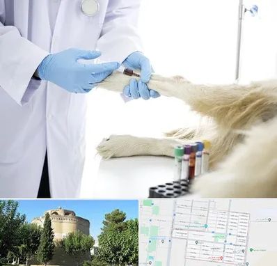 آزمایشگاه حیوانات در مرداویج اصفهان