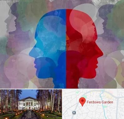 طرحواره درمانگر در باغ فردوس