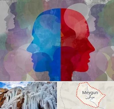 طرحواره درمانگر در میگون