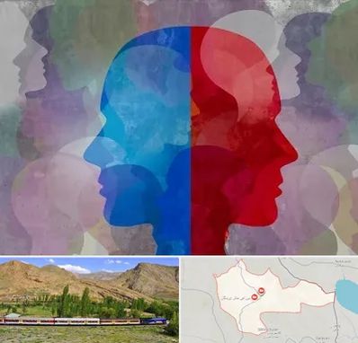 طرحواره درمانگر در خاش