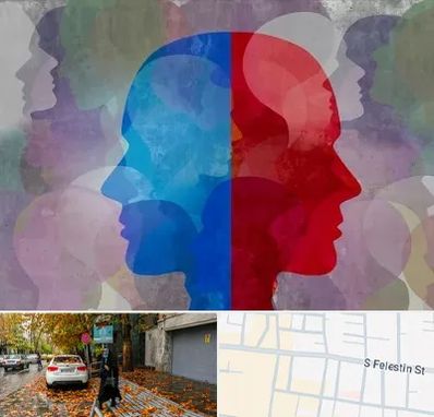 طرحواره درمانگر در خیابان فلسطین