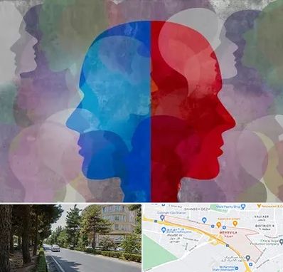 طرحواره درمانگر در مهرویلا کرج