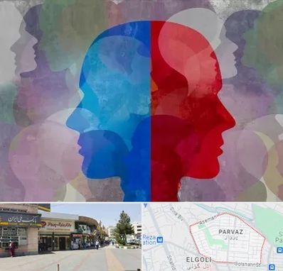 طرحواره درمانگر در پرواز تبریز