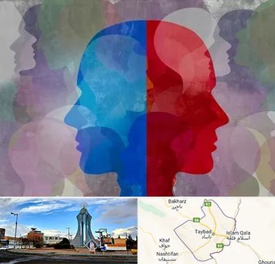 طرحواره درمانگر در تایباد