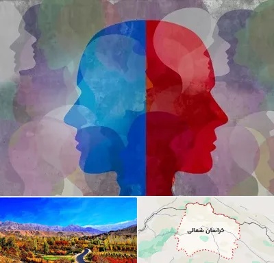 طرحواره درمانگر در خراسان شمالی