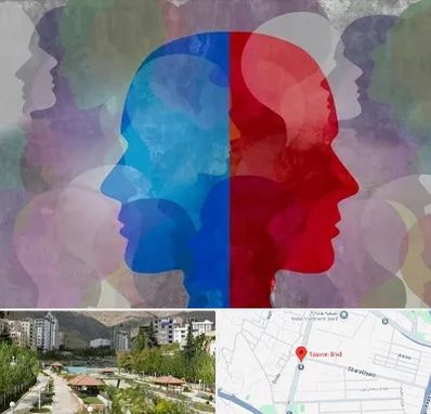 طرحواره درمانگر در بلوار تعاون