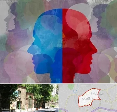 طرحواره درمانگر در دزاشیب
