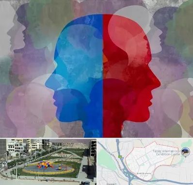 طرحواره درمانگر در مرزداران تبریز