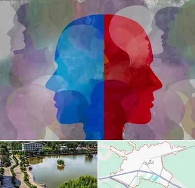 طرحواره درمانگر در لنگرود