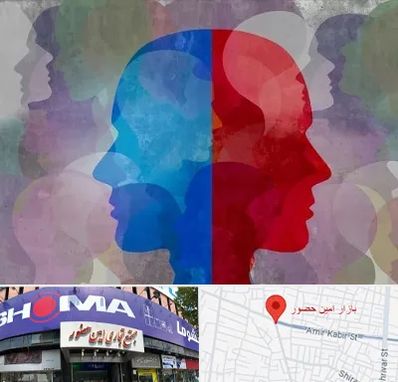 طرحواره درمانگر در امین حضور