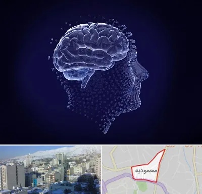 روانسنجی در محمودیه