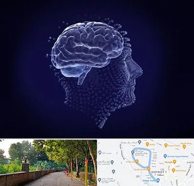 روانسنجی در فلکه گاز رشت