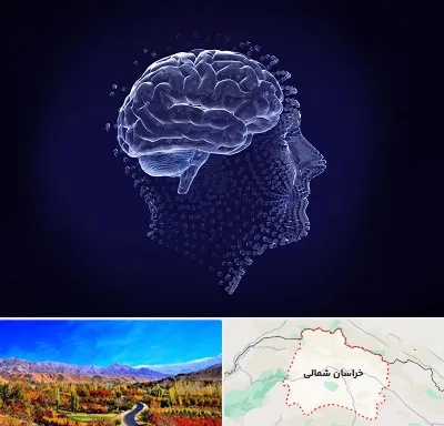 روانسنجی در خراسان شمالی