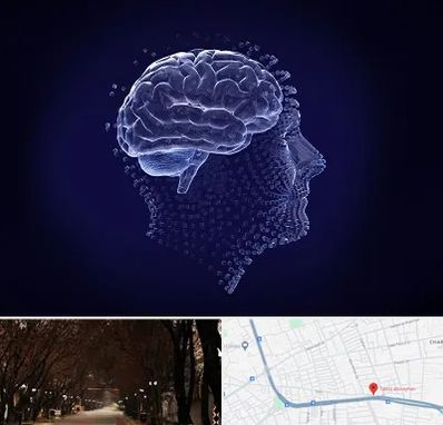 روانسنجی در ابوریحان تبریز