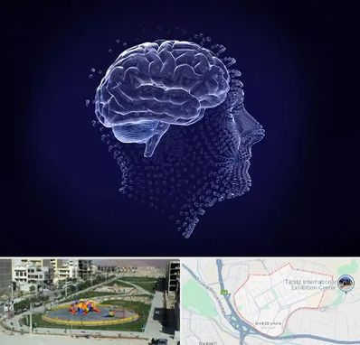 روانسنجی در مرزداران تبریز