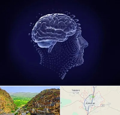روانسنجی در کامیاران