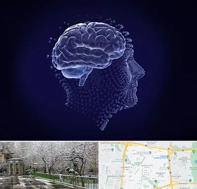 روانسنجی در باغ فیض