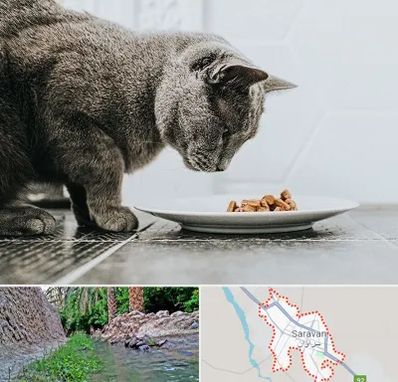 خرید غذای گربه در سراوان