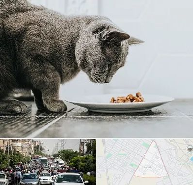 خرید غذای گربه در سیدی مشهد