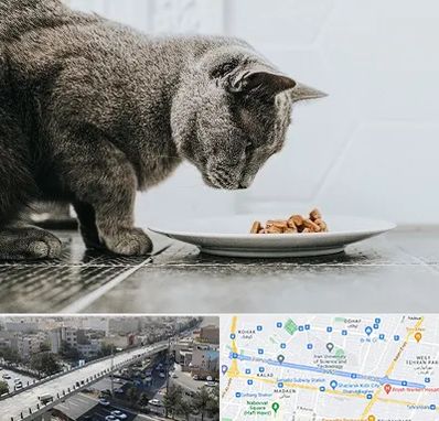 خرید غذای گربه در فرجام