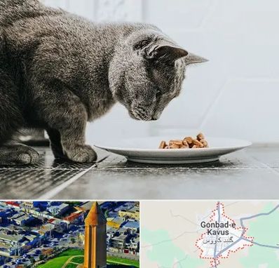 خرید غذای گربه در گنبد کاووس