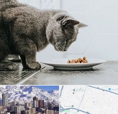 خرید غذای گربه در ازگل