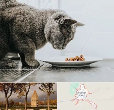 خرید غذای گربه در تویسرکان