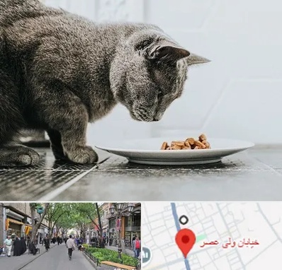 خرید غذای گربه در ولیعصر شهریار