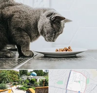 خرید غذای گربه در باغمیشه تبریز